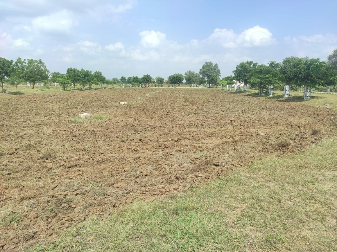 Kunjbiharipura Industrial Area
